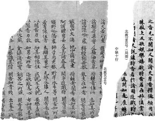 北敦7865尾北敦8704