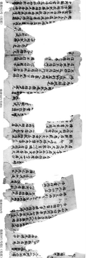 北敦12091號(hào)系列綴合帶點(diǎn)的