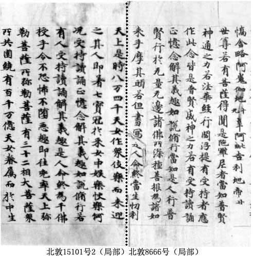 北敦15101號2綴合圖